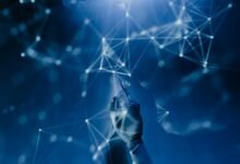 future digital network growth