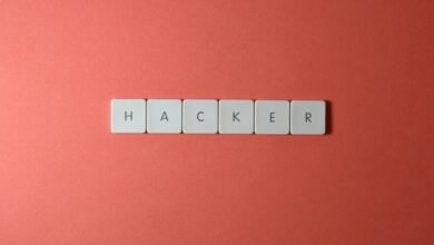 it network security professional