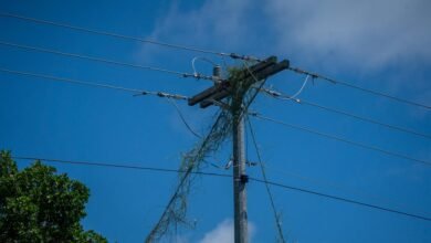 online infrastructure growth strategy