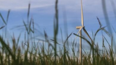 smart technology growth solutions